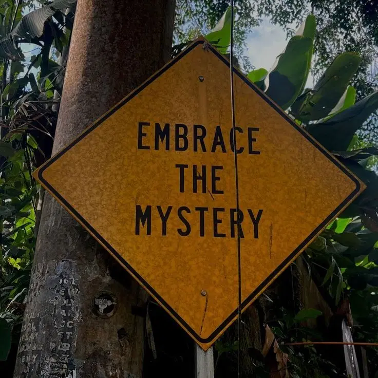 A hand-painted road sign in the trees reading “Embrace the Mystery”